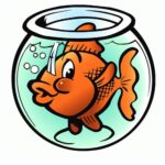 Застеколье» для рыбок