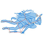 Небесная леди