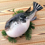 Рыба-собака