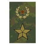 Одна звёздочка