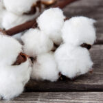 Белое золото