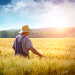 Светит луна или падает снег