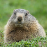 Не вижу свою тень