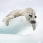 С Байкала